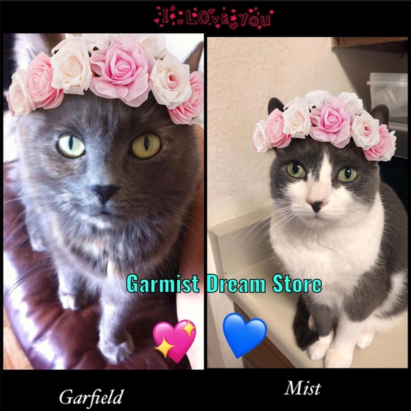 Meet your Posher, Leslyn “ Garmist Dream Store”. - Picture 2 of 7